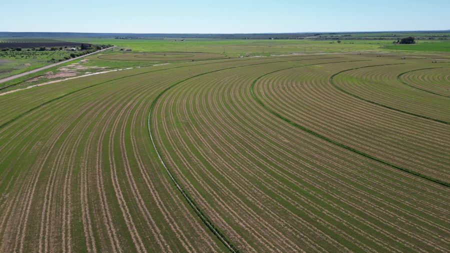 0 Bedroom Property for Sale in Douglas Rural Northern Cape